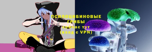 мяу мяу мука Баксан