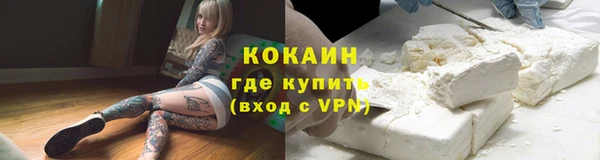 мяу мяу мука Баксан