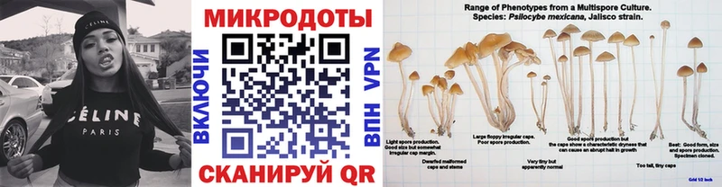 Псилоцибиновые грибы прущие грибы  Кумертау 